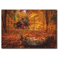 Sonbahar Yaprakları Kanvas Tablo