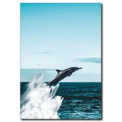 Yunus Balığı Kanvas Tablo