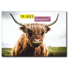 Nusret'i Arayan Bufalo Kanvas Tablo