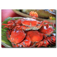 Yengeç Temalı Kanvas Tablo