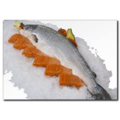 Somon Balığı Temalı Kanvas Tablo