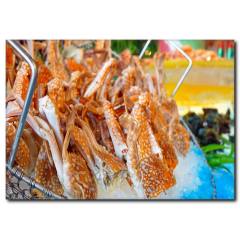 Yengeç Görselli Kanvas Tablo