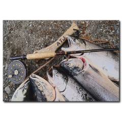 Somon Balığı Görselli Kanvas Tablo