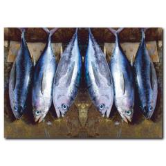 Balık Görselli Kanvas Tablo