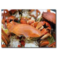 Kızıl Yengeç Temalı Kanvas Tablo