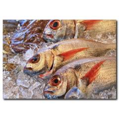Balık Kanvas Tablo
