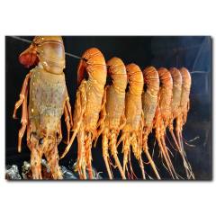 Istakoz Kanvas Tablo