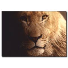 Aslan Temalı Kanvas Tablo