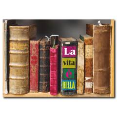 Kitap Sonsuzluktur Doğal Ahşap Çerçeveli Tablo