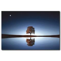 Suya Yansıyan Ağaç Manzarası Kanvas Tablo