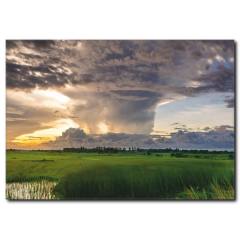 Yeryüzü ve Gökyüzü Manzaralı Kanvas Tablo