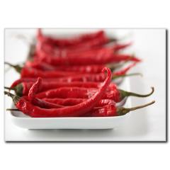 Kırmızı Biber Temalı Kanvas Tablo