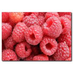 Ahududu Temalı Kanvas Tablo