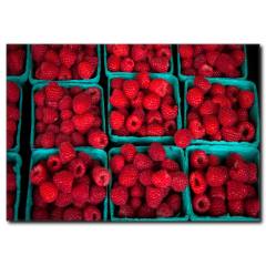 Ahududu Kaseleri Kanvas Tablo