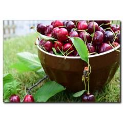 Vişne Keyfi Temalı Kanvas Tablo