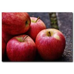 Kırmızı Elmalar Duvar Tablosu