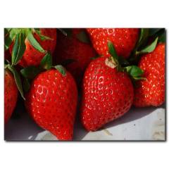 Kırmızı Çilekler Dekoratif Tablo