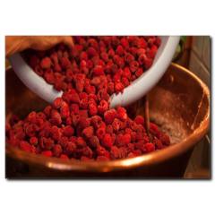 Ahududu Kanvas Tablo