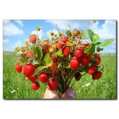 Çilek Demeti Duvar Tablosu