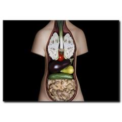 Sağlık Deposu Temalı Kanvas Tablo