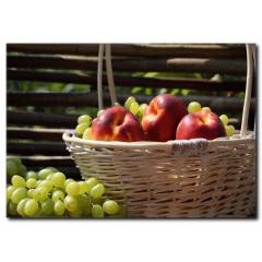 Şeftali Sepeti Temalı Kanvas Tablo