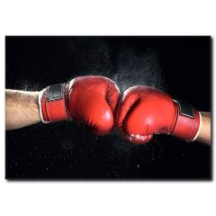 Kırmızı Boks Eldiveni Temalı Kanvas Tablo