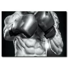Boksör Temalı Tablo