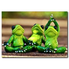 Yoga Yapan Kurbağalar Temalı Tablo