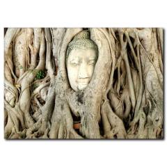 Ağaçta Yoga Yapan Rahip Figür Kanvas Tablo