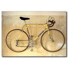 Bisiklet Sporu Kanvas Tablo