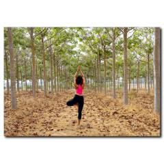 Ormanda Yoga Kanvas Tablo