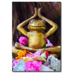 Yogacı Kurbağa Temalı Kanvas Tablo