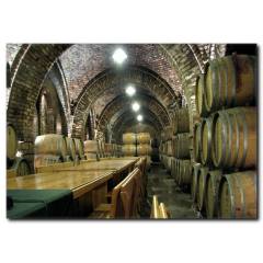 Şarap Mahzeni ve Şarap Fıçıları Kanvas Tablo