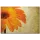 Eskitilmiş Görünümlü Çiçek Detaylı Kanvas Tablo