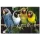 Renkli Papağanlar Temalı Kanvas Tablo