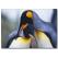 Penguen Temalı Kanvas Tablo
