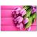 Pembe Lale Temalı Kanvas Tablo