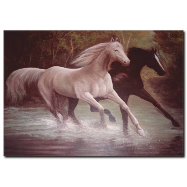 Siyah Beyaz At Yağlı Boya Tablo