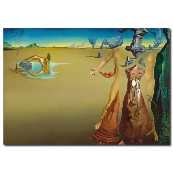 Salvador Dali Dekoratif Tablo