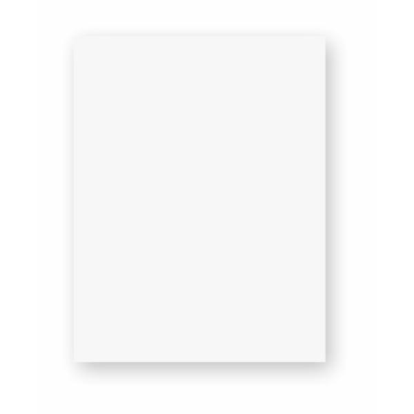 Japon Bristol 315 gr - 70x100 cm