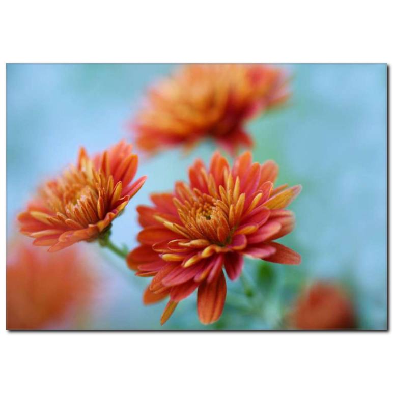 Turuncu Çiçekler Temalı Kanvas Tablo