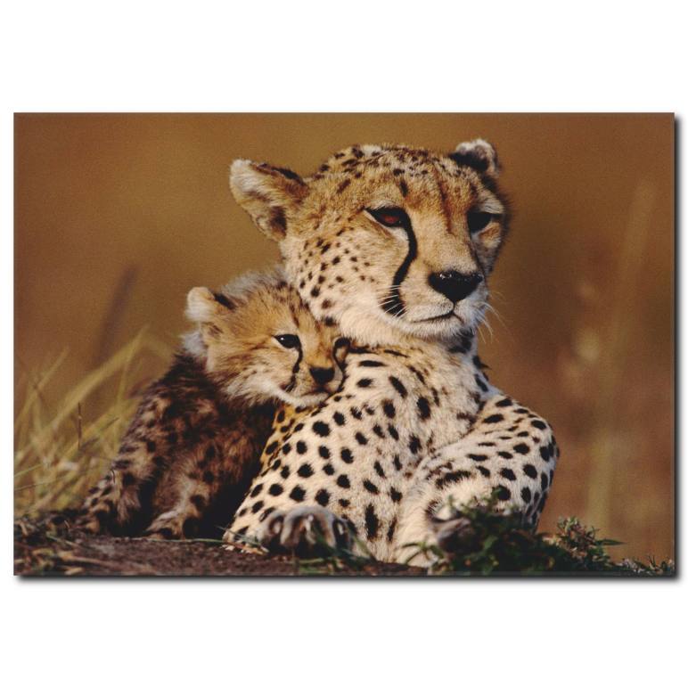 Leopar ve Yavrusu Temalı Kanvas Tablo