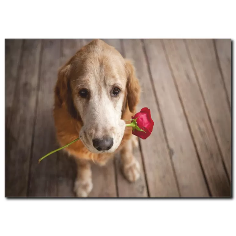 Duygusal Köpek Temalı Kanvas Tablo