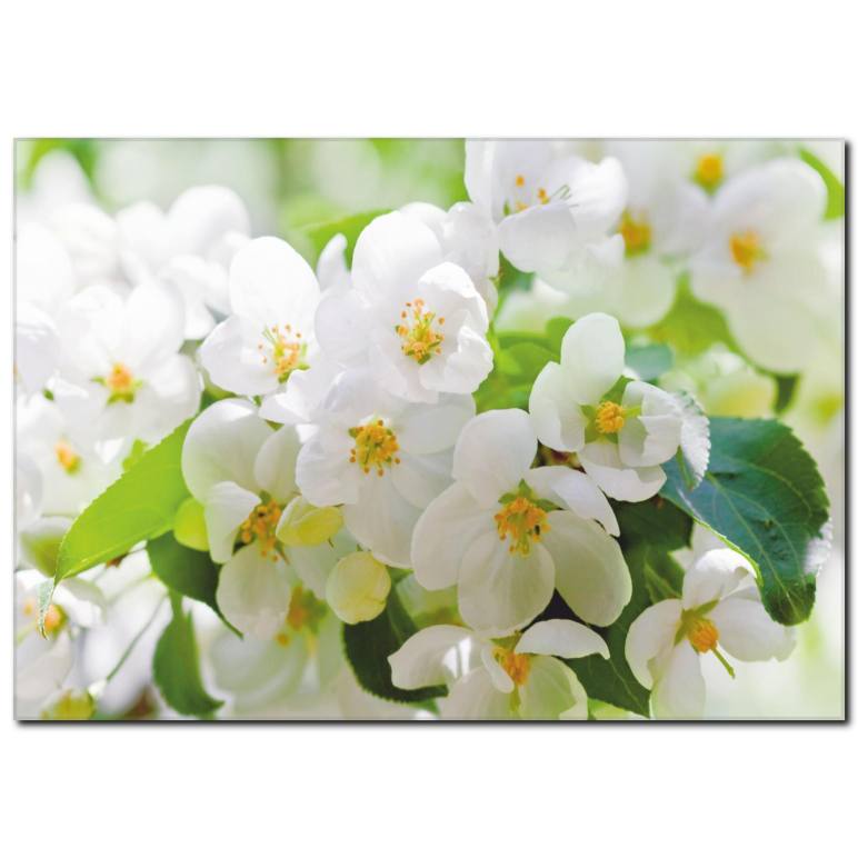 Beyaz Çiçekler Temalı Kanvas Tablo