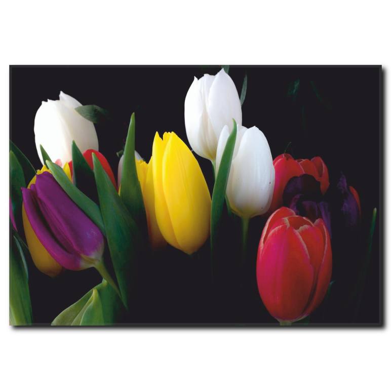 Renkli Laleler Temalı Kanvas Tablo