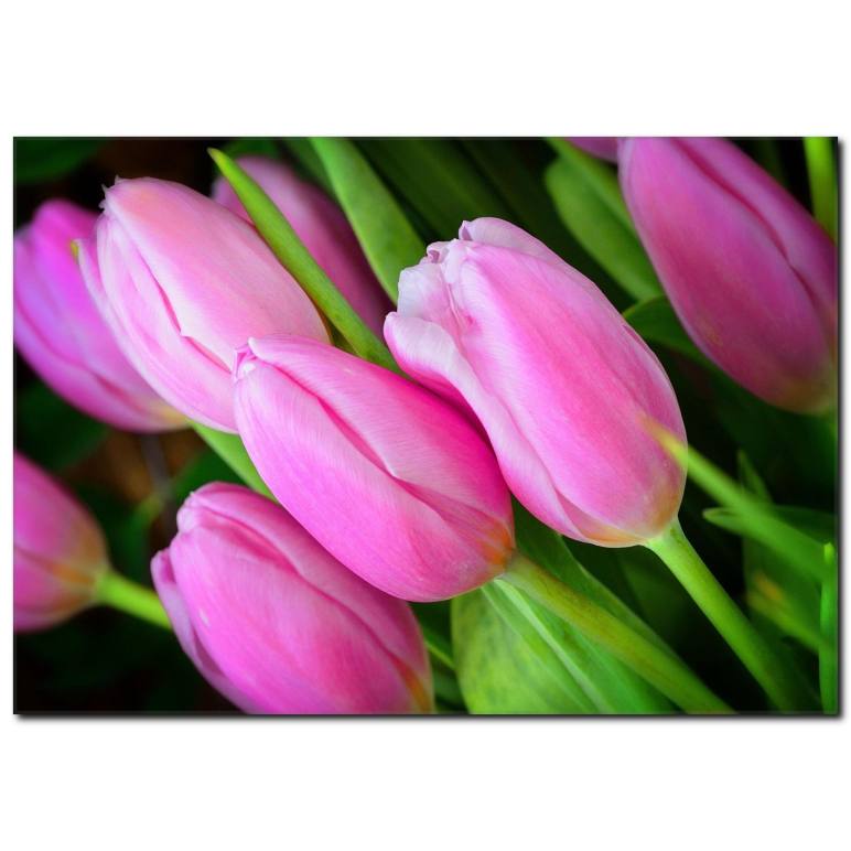 Floral Desenli Kanvas Tablo