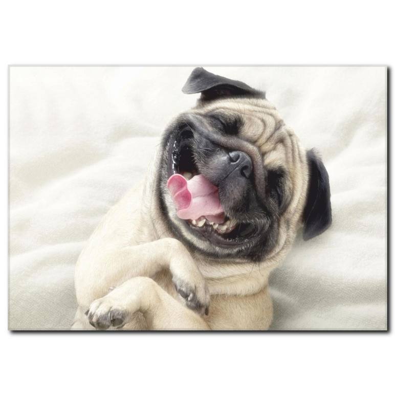 Şımarık Köpek Temalı Kanvas Tablo