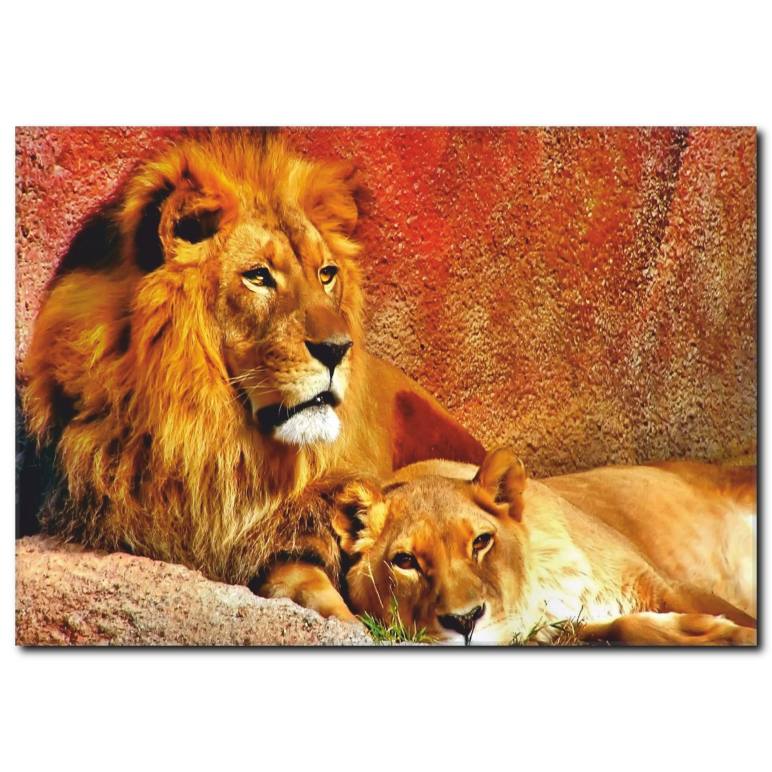 Aslan Temalı Kanvas Tablo
