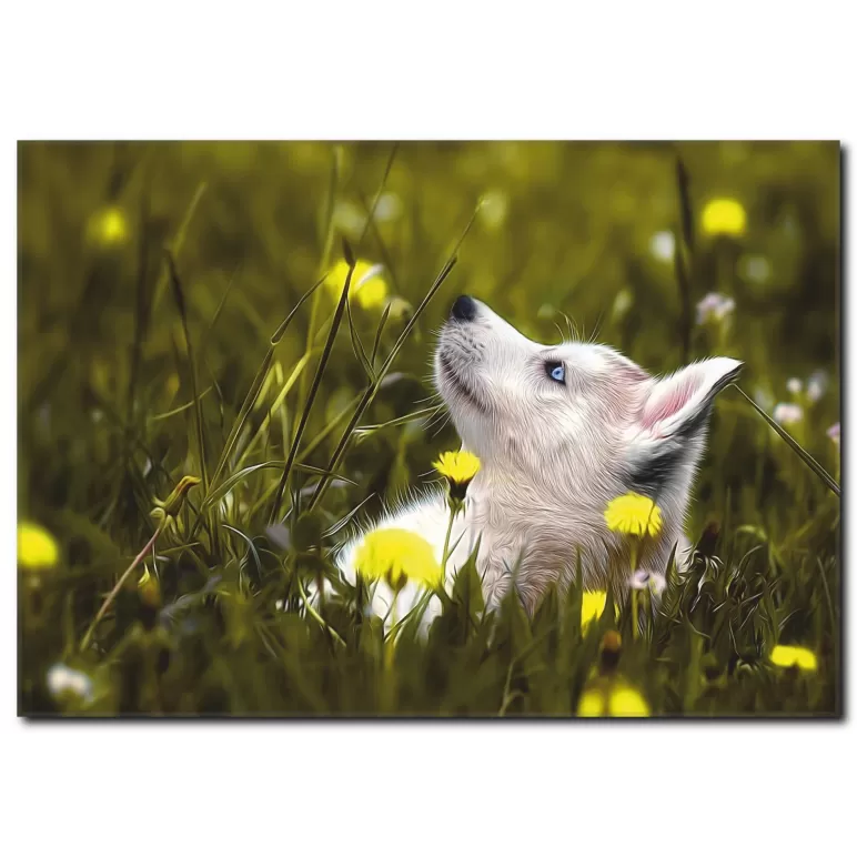 Mavi Gözlü Köpek Temalı Kanvas Tablo
