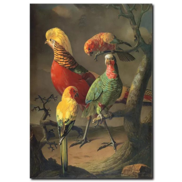 Renkli Papağanlar Yağlı Boya Tablo